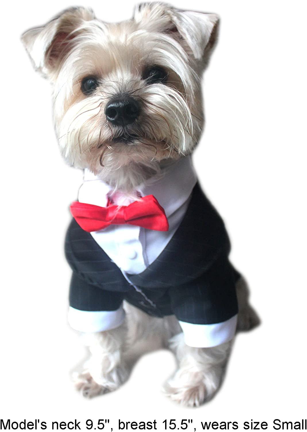 Pet - Oscar Formal Tuxedo with Black Tie and Red Bow Tie - Color: Black, Size: Large