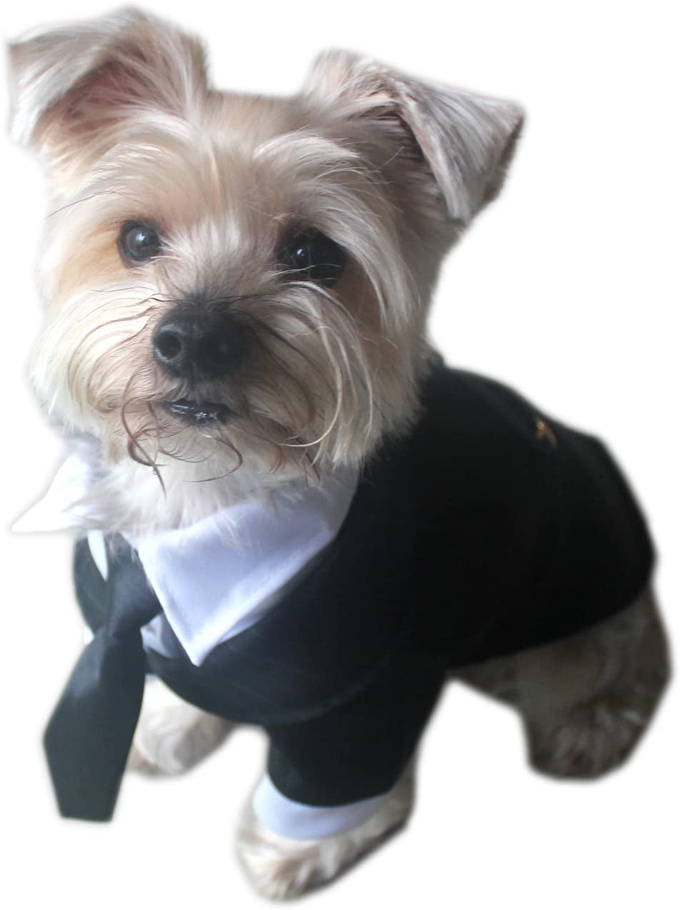 Pet - Oscar Formal Tuxedo with Black Tie and Red Bow Tie - Color: Black, Size: Large