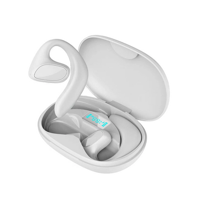 Language Translation Earbuds